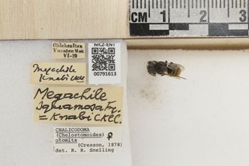 Media type: image;   Entomology 791613 Aspect: Labels